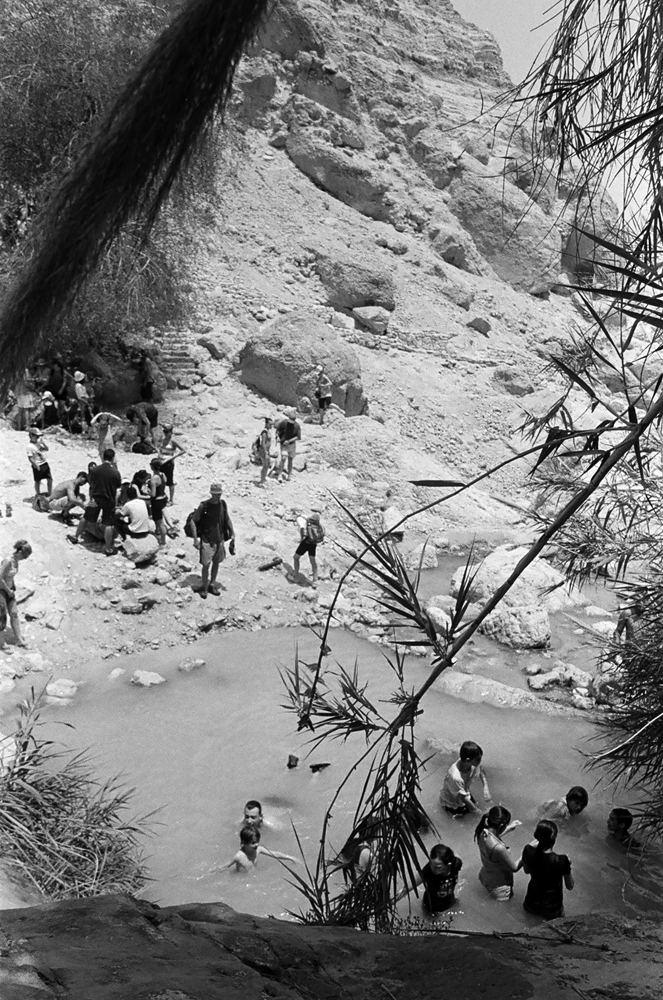 4_4_baignade-ein-gedi