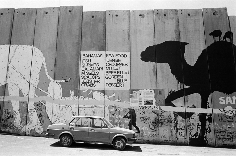 4_4_mur-dromadaires2