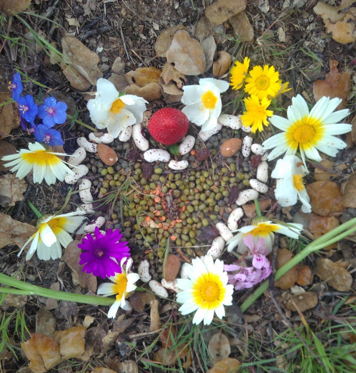 earth mandala offering